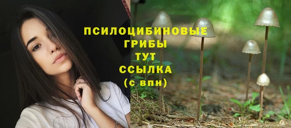 метадон Пересвет