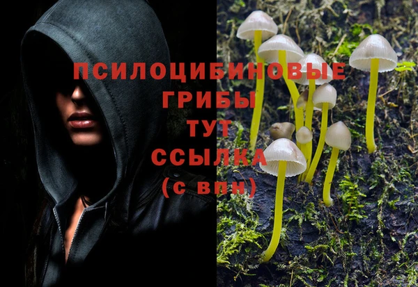 mdma Пестово