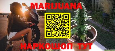 индика Абакан