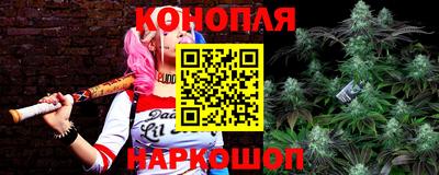 индика Абакан