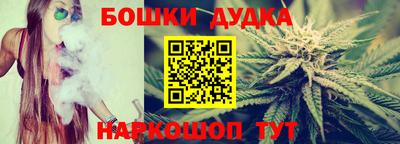 индика Абакан