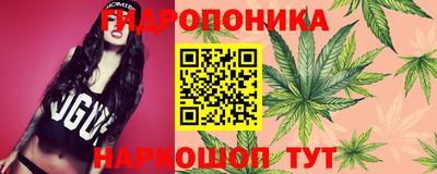 индика Абакан