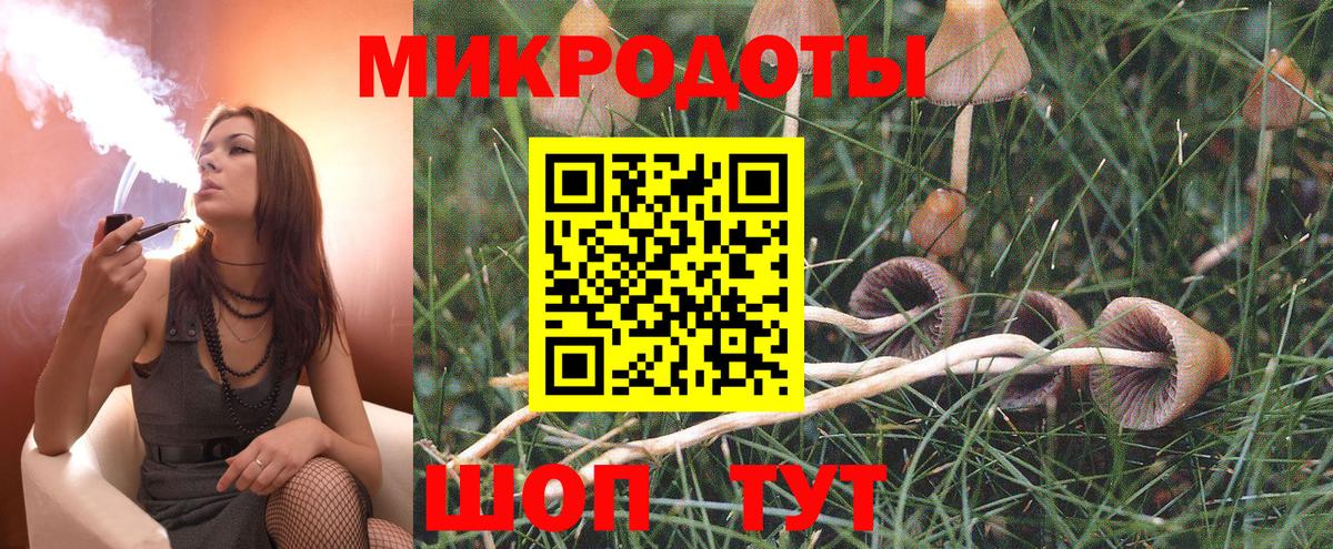 Альметьевск  Псилоцибиновые грибы Cubensis  Псилоцибиновые грибы Magic Shrooms  Вход с VPN 